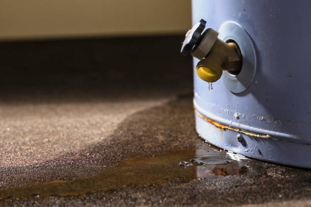 Best Water damage contractors near me  in Rio Grande City, TX