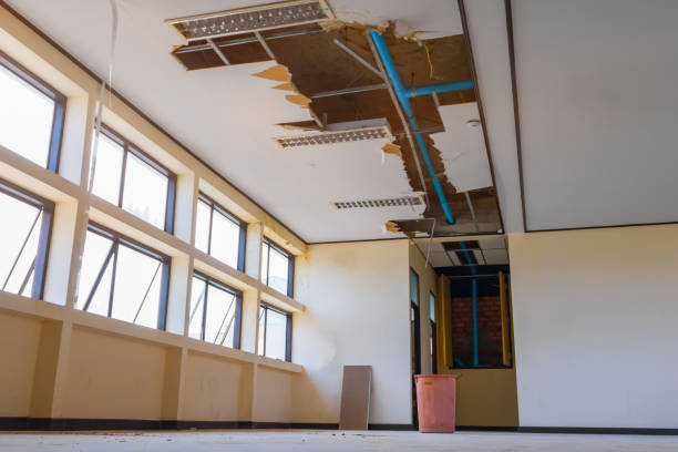 Best Basement water damage restoration  in Rio Grande City, TX