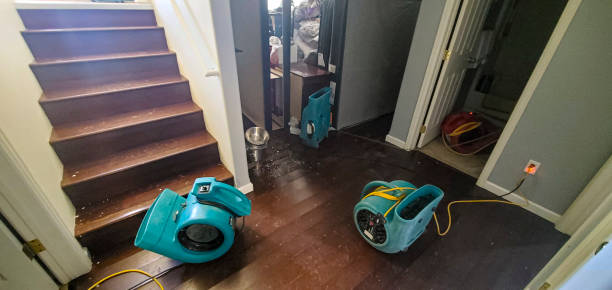 Best Flooded house restoration  in Rio Grande City, TX