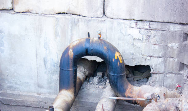 Best Professional water damage repair  in Rio Grande City, TX